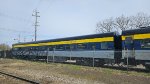 MSTX 5581
